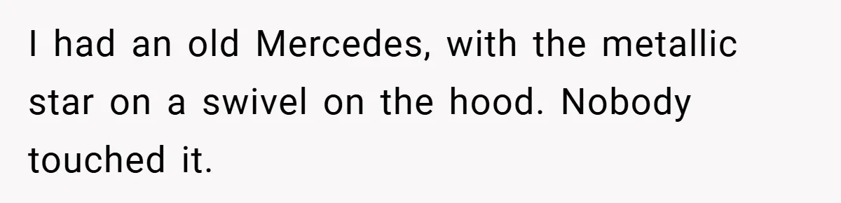 Gangster Steals Kid’s Earnings, Then Walks Into A Trap That Costs Him Big I had an old Mercedes, with the metallic star on a swivel on the hood. Nobody touched it.