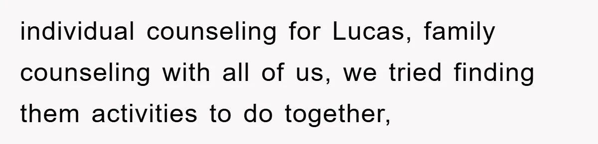 individual counseling for Lucas, family counseling with all of us, we tried finding them activities to do together,
