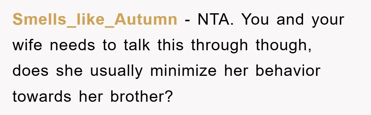 Smells_like_Autumn − NTA. You and your wife needs to talk this through though, does she usually minimize her behavior towards her brother?