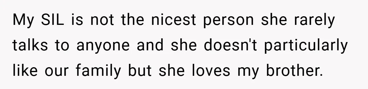 My SIL is not the nicest person she rarely talks to anyone and she doesn't particularly like our family but she loves my brother.