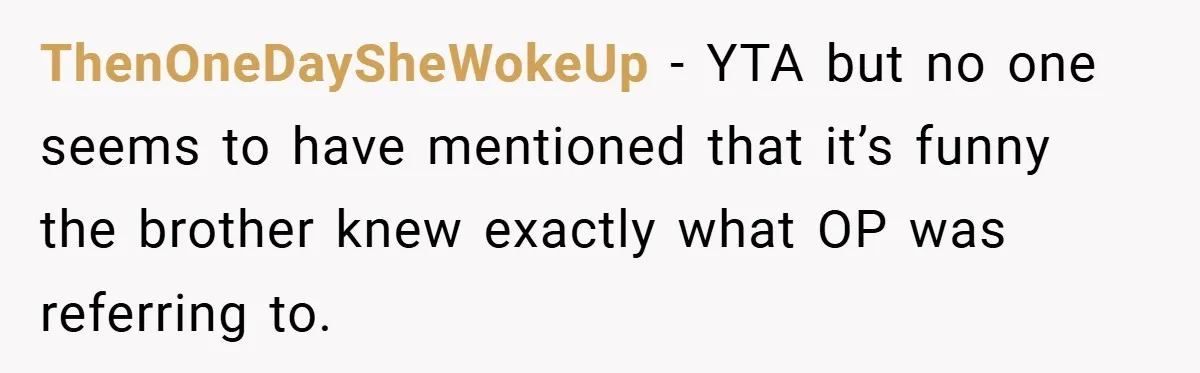 ThenOneDaySheWokeUp − YTA but no one seems to have mentioned that it’s funny the brother knew exactly what OP was referring to.