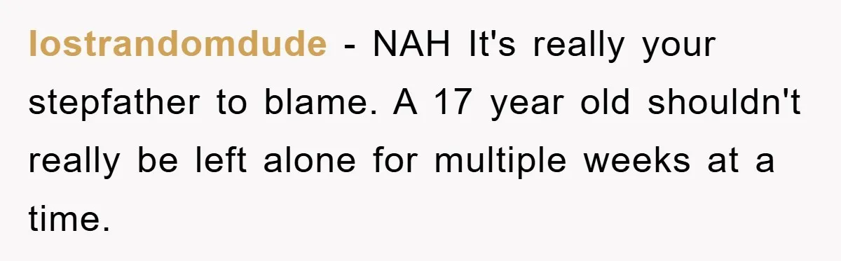 Mom Arrested, Dad Deployed Abroad, 17-Year-Old Daughter Abandons Home, Robbers Steal Everything, Stepsister Explodes In Fury lostrandomdude − NAH It's really your stepfather to blame. A 17 year old shouldn't really be left alone for multiple weeks at a time.