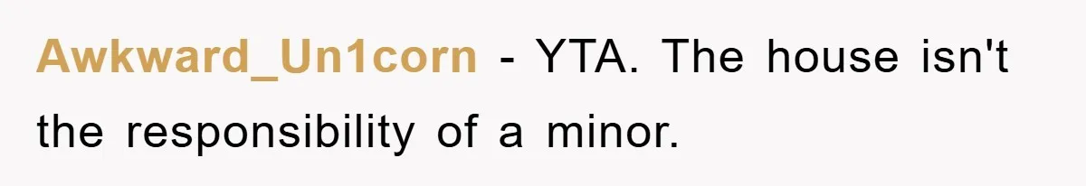 Mom Arrested, Dad Deployed Abroad, 17-Year-Old Daughter Abandons Home, Robbers Steal Everything, Stepsister Explodes In Fury Awkward_Un1corn − YTA. The house isn't the responsibility of a minor.