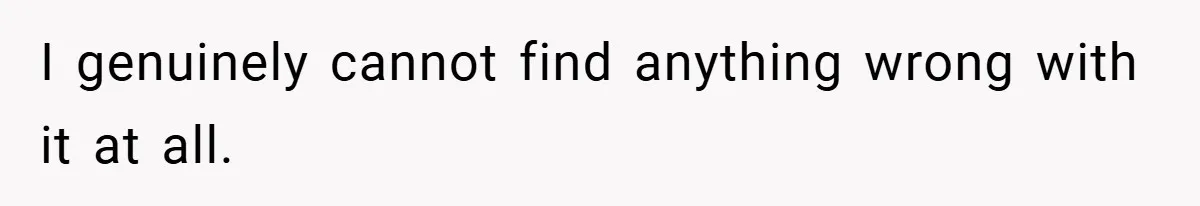 I genuinely cannot find anything wrong with it at all.