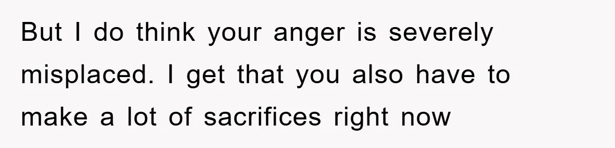 Mom Arrested, Dad Deployed Abroad, 17-Year-Old Daughter Abandons Home, Robbers Steal Everything, Stepsister Explodes In Fury But I do think your anger is severely misplaced. I get that you also have to make a lot of sacrifices right now