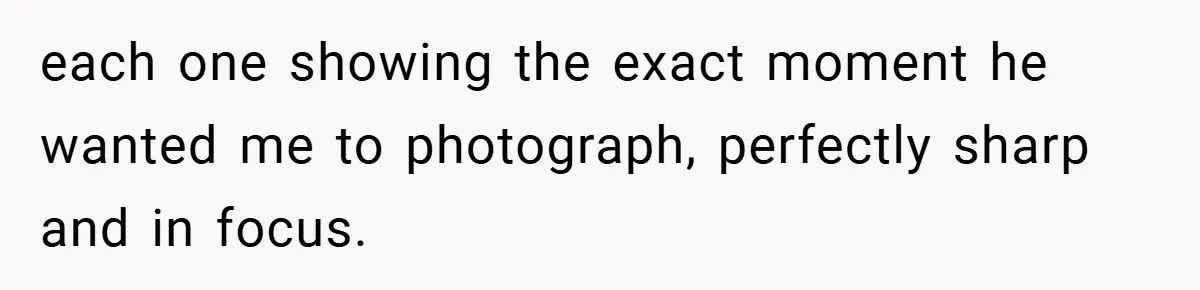 each one showing the exact moment he wanted me to photograph, perfectly sharp and in focus.