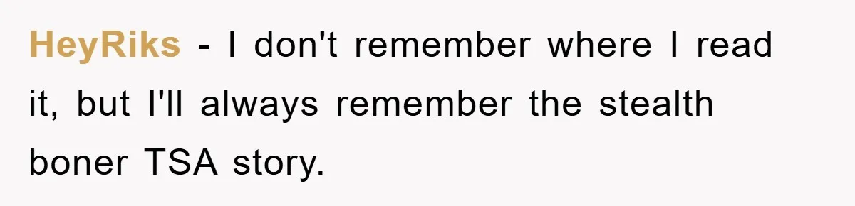 HeyRiks − I don't remember where I read it, but I'll always remember the stealth boner TSA story.