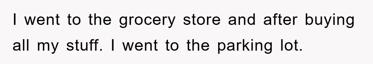 I went to the grocery store and after buying all my stuff. I went to the parking lot.