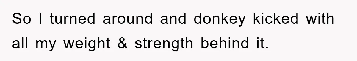So I turned around and donkey kicked with all my weight & strength behind it.