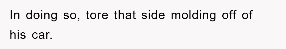 In doing so, tore that side molding off of his car.