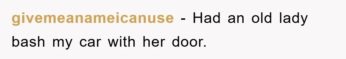 givemeanameicanuse − Had an old lady bash my car with her door.