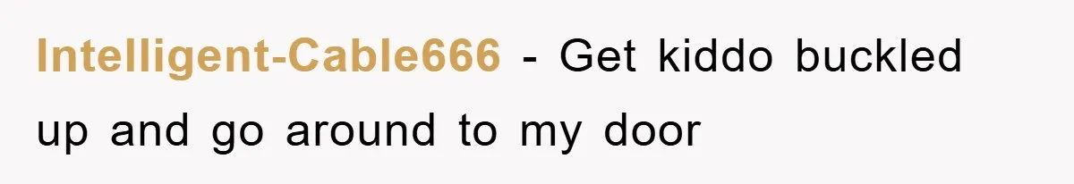 Intelligent-Cable666 − Get kiddo buckled up and go around to my door