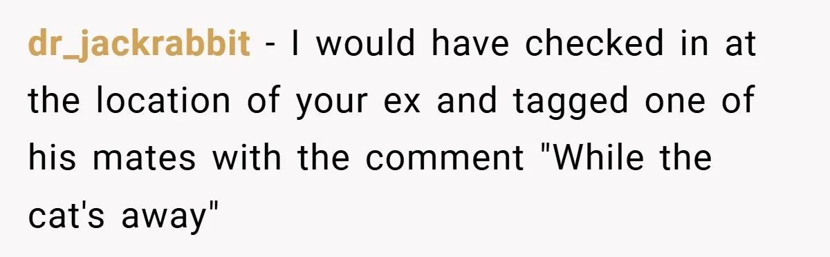 dr_jackrabbit − I would have checked in at the location of your ex and tagged one of his mates with the comment "While the cat's away"