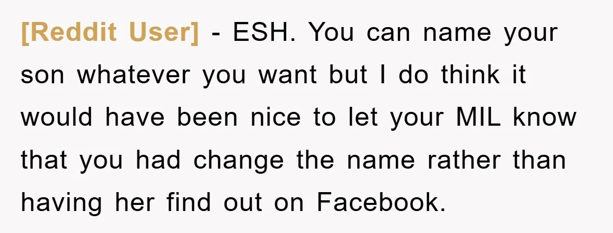 [Reddit User] - ESH. You can name your son whatever you want but I do think it would have been nice to let your MIL know that you had change...