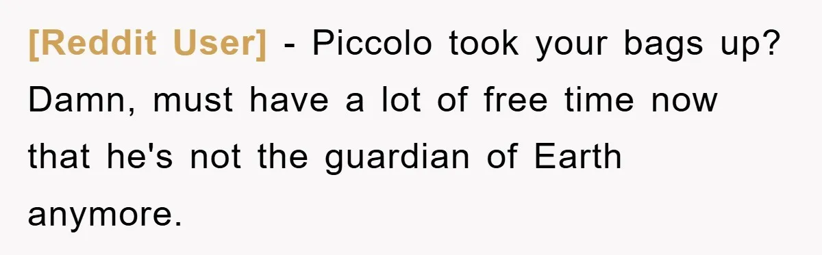 [Reddit User] - Piccolo took your bags up? Damn, must have a lot of free time now that he's not the guardian of Earth anymore.