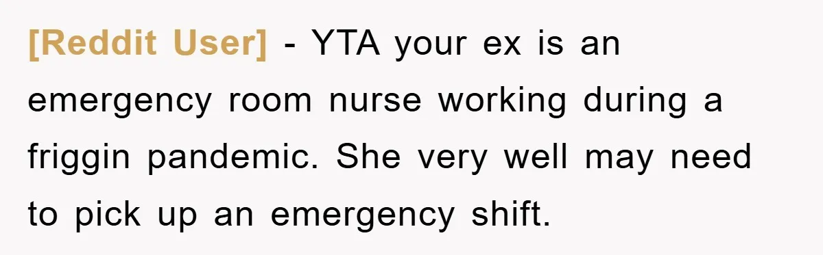 [Reddit User] - YTA your ex is an emergency room nurse working during a friggin pandemic. She very well may need to pick up an emergency shift.