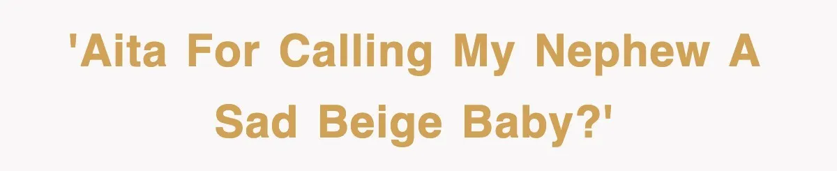 'AITA for calling my nephew a sad beige baby?'