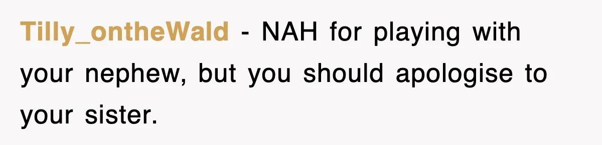 Tilly_ontheWald − NAH for playing with your nephew, but you should apologise to your sister.