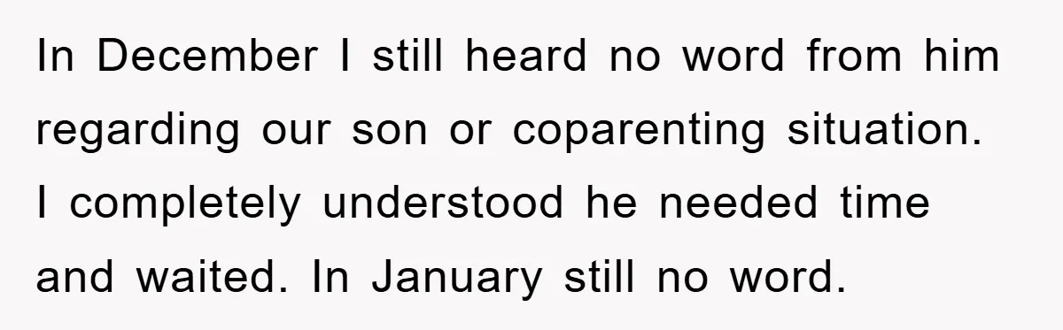In December I still heard no word from him regarding our son or coparenting situation. I completely understood he needed time and waited. In January still no word.
