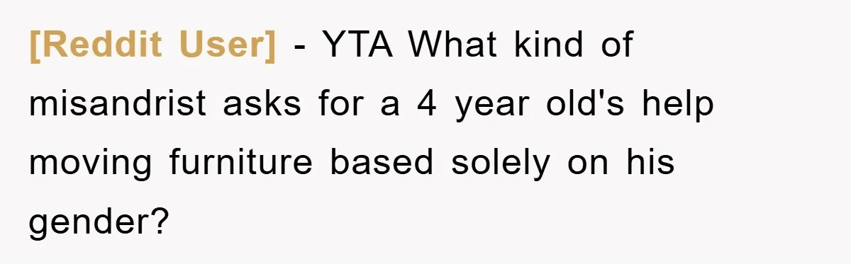 [Reddit User] - YTA What kind of misandrist asks for a 4 year old's help moving furniture based solely on his gender?
