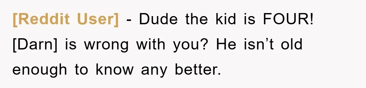 [Reddit User] - Dude the kid is FOUR! [Darn] is wrong with you? He isn’t old enough to know any better.