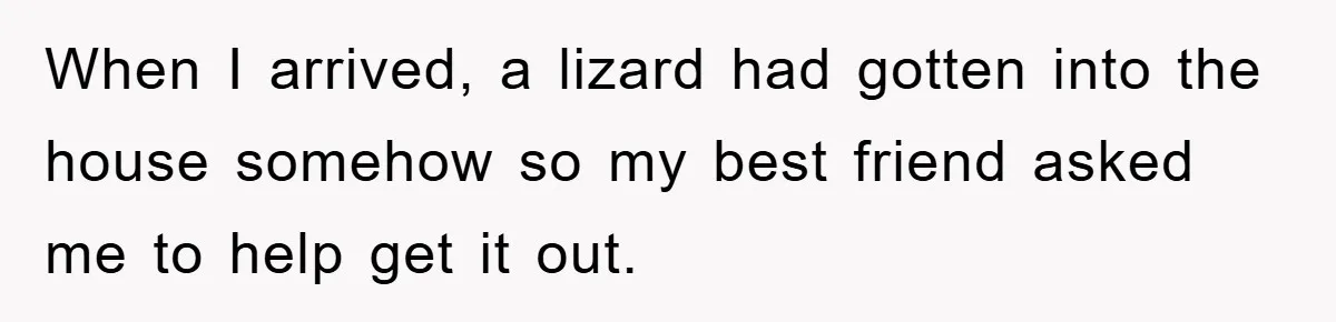 When I arrived, a lizard had gotten into the house somehow so my best friend asked me to help get it out.