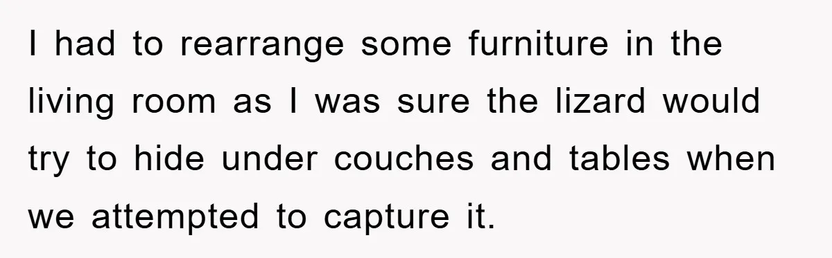 I had to rearrange some furniture in the living room as I was sure the lizard would try to hide under couches and tables when we attempted to capture it.