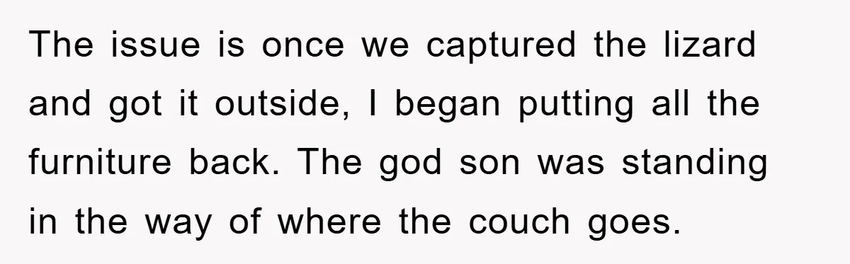 The issue is once we captured the lizard and got it outside, I began putting all the furniture back. The god son was standing in the way of where the...