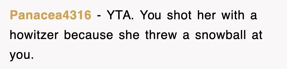 Panacea4316 − YTA. You shot her with a howitzer because she threw a snowball at you.