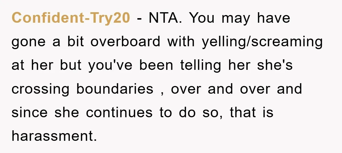 Confident-Try20 - NTA. You may have gone a bit overboard with yelling/screaming at her but you've been telling her she's crossing boundaries , over and over and since she continues...