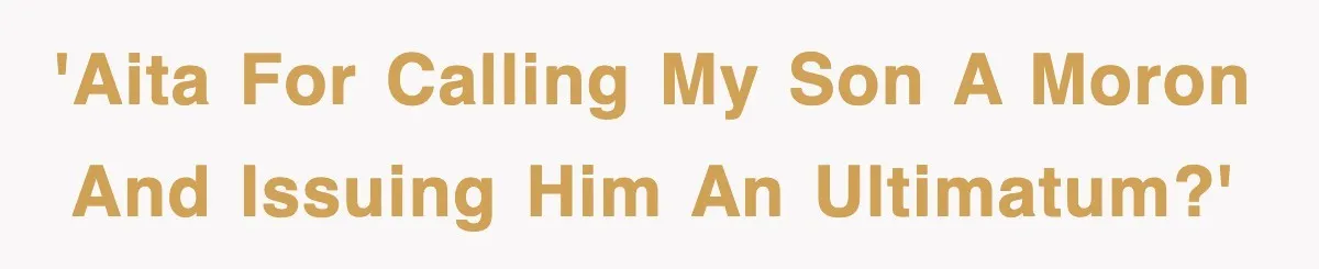 'AITA for calling my son a moron and issuing him an ultimatum?'
