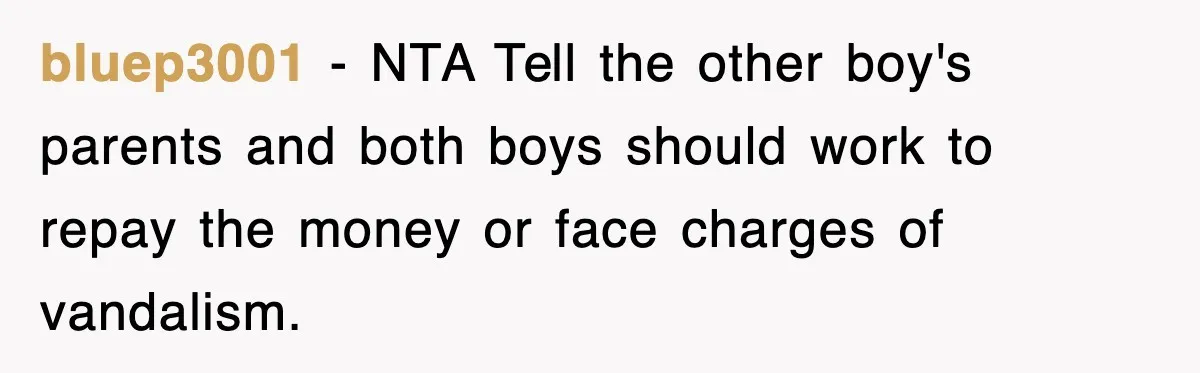 bluep3001 − NTA Tell the other boy's parents and both boys should work to repay the money or face charges of vandalism.