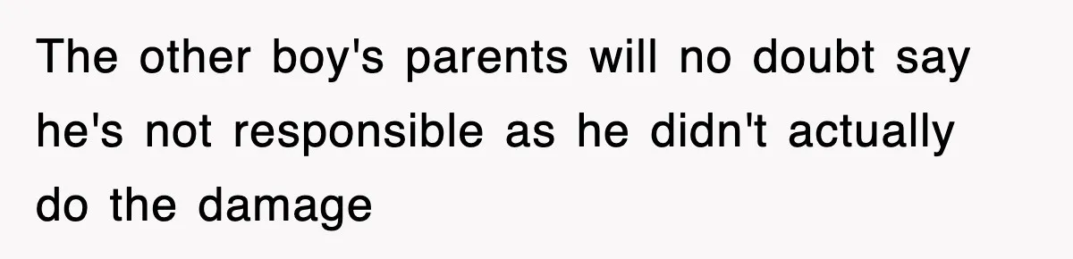 The other boy's parents will no doubt say he's not responsible as he didn't actually do the damage