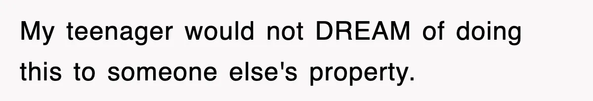 My teenager would not DREAM of doing this to someone else's property.