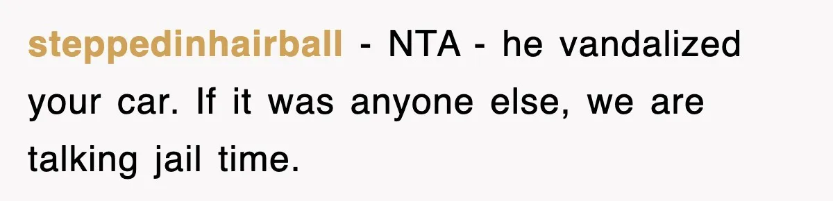 steppedinhairball − NTA - he vandalized your car. If it was anyone else, we are talking jail time.