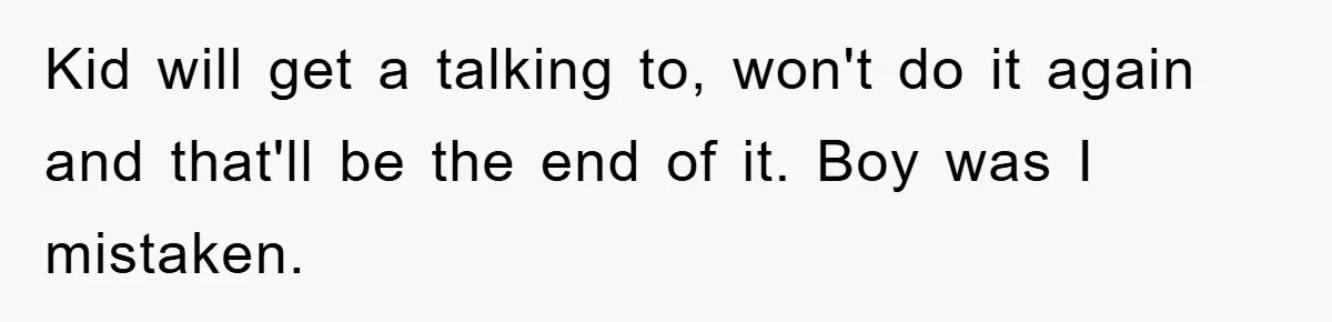 Kid will get a talking to, won't do it again and that'll be the end of it. Boy was I mistaken.