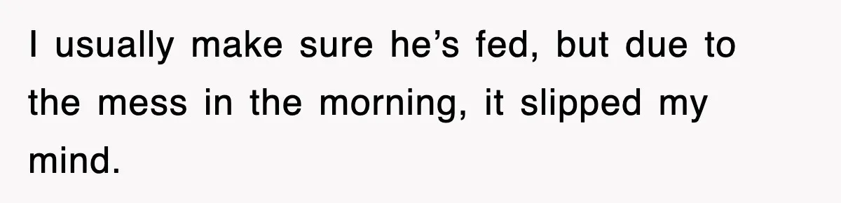 I usually make sure he’s fed, but due to the mess in the morning, it slipped my mind.