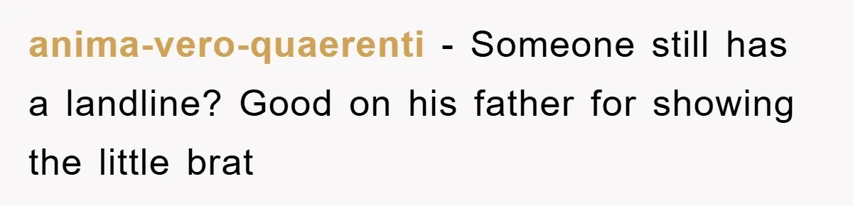 anima-vero-quaerenti − Someone still has a landline? Good on his father for showing the little brat