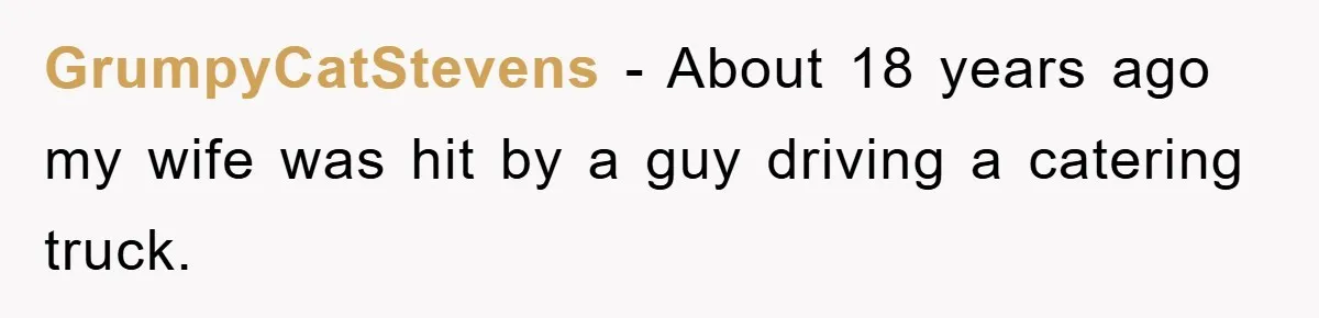 GrumpyCatStevens − About 18 years ago my wife was hit by a guy driving a catering truck.