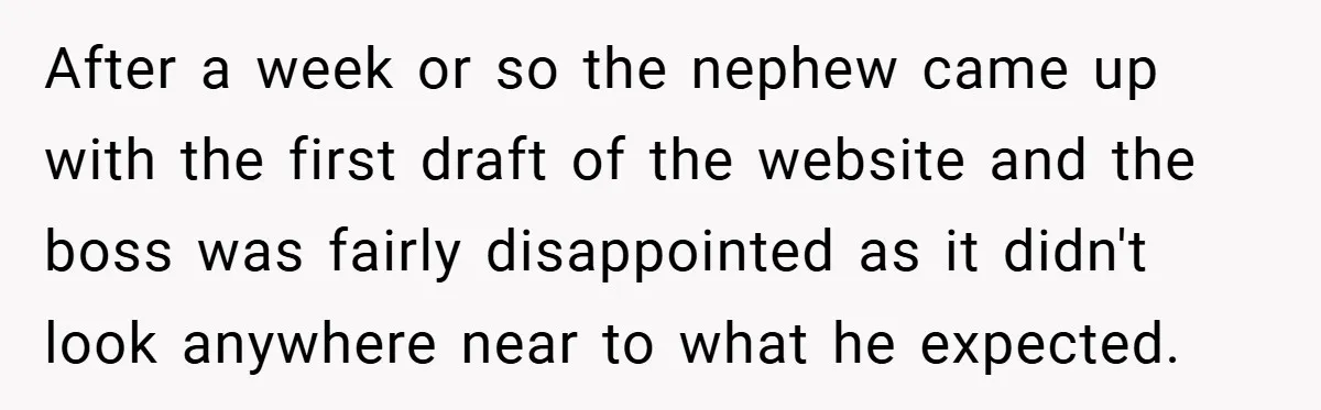 After a week or so the nephew came up with the first draft of the website and the boss was fairly disappointed as it didn't look anywhere near to what...
