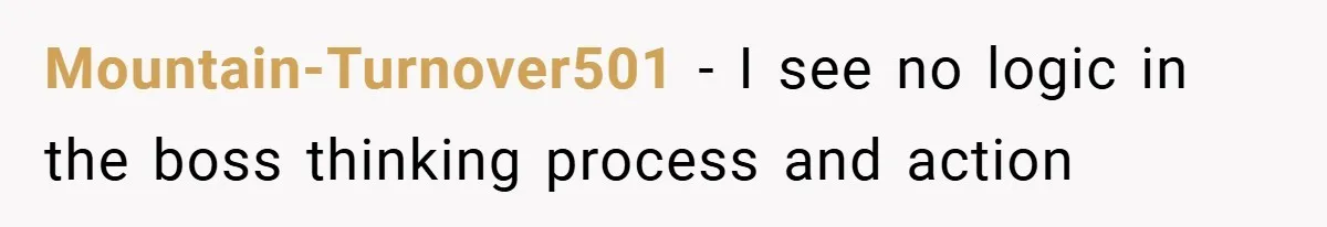 Mountain-Turnover501 − I see no logic in the boss thinking process and action