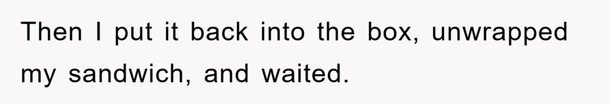 Then I put it back into the box, unwrapped my sandwich, and waited.