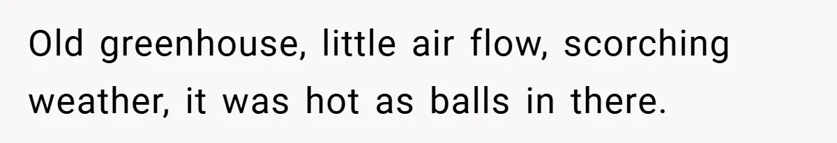 Old greenhouse, little air flow, scorching weather, it was hot as balls in there.