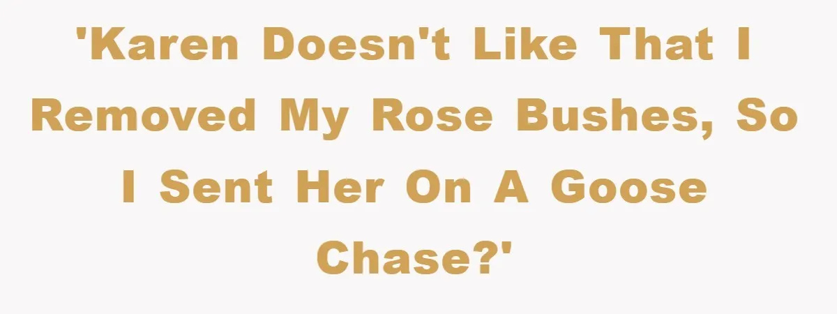 'Karen doesn't like that I removed my rose bushes, so I sent her on a goose chase?'