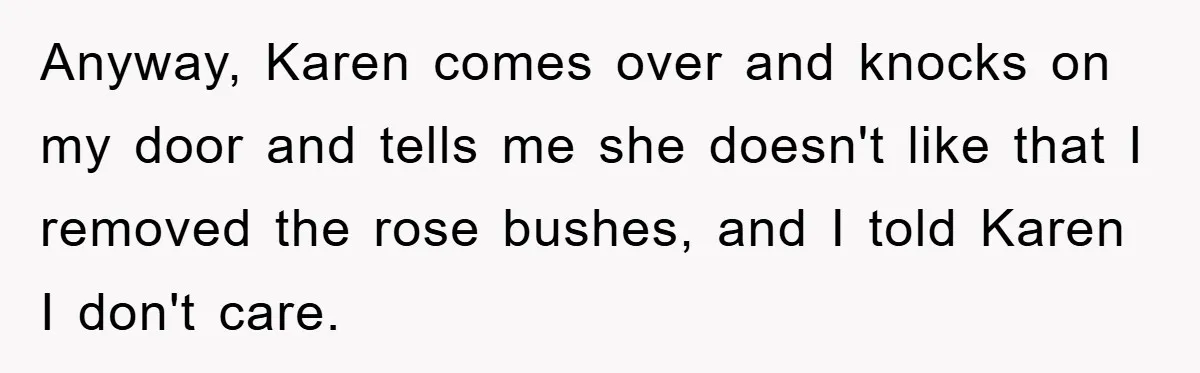 Anyway, Karen comes over and knocks on my door and tells me she doesn't like that I removed the rose bushes, and I told Karen I don't care.