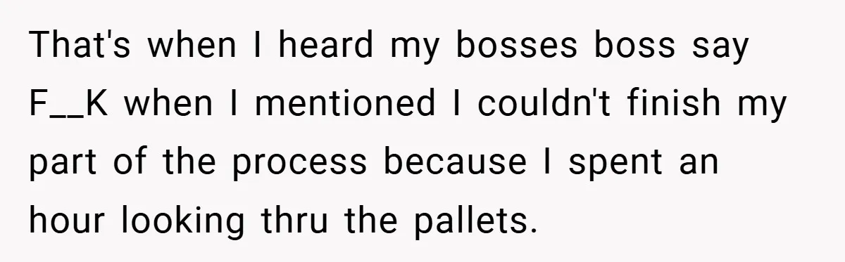 That's when I heard my bosses boss say F__K when I mentioned I couldn't finish my part of the process because I spent an hour looking thru the pallets.