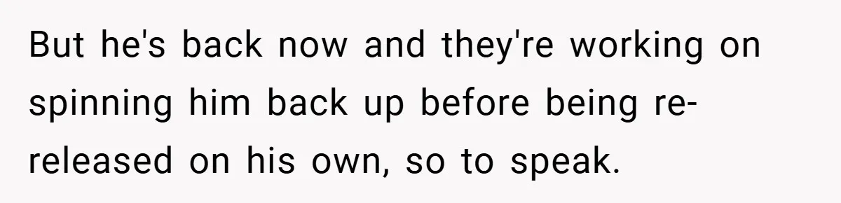 But he's back now and they're working on spinning him back up before being re-released on his own, so to speak.