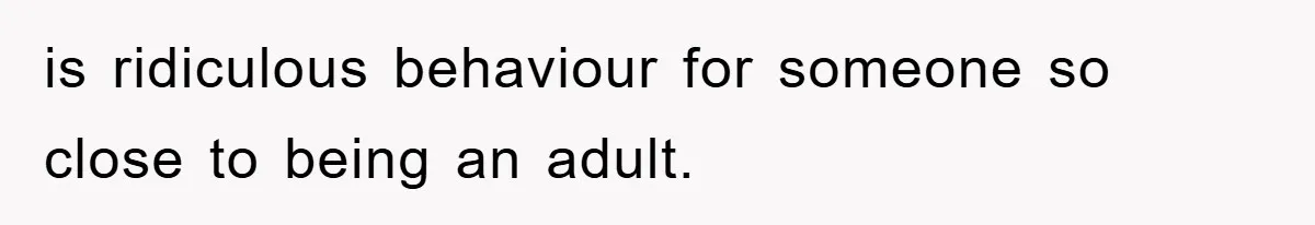 is ridiculous behaviour for someone so close to being an adult.