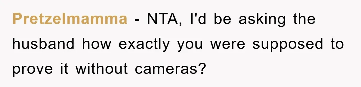 Pretzelmamma − NTA, I'd be asking the husband how exactly you were supposed to prove it without cameras?