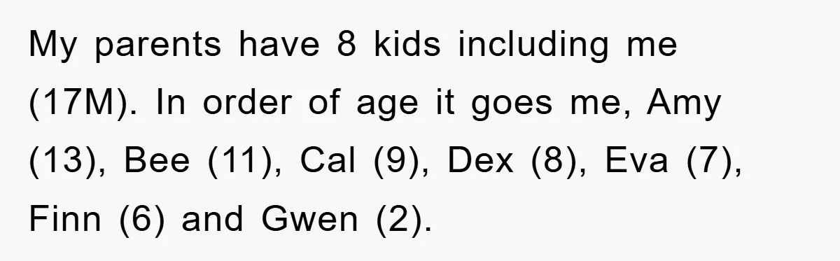 My parents have 8 kids including me (17M). In order of age it goes me, Amy (13), Bee (11), Cal (9), Dex (8), Eva (7), Finn (6) and Gwen (2).